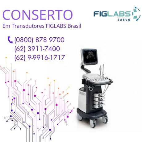 assistencia-tecnica-ultrassom-figlabs-brasil-big-3